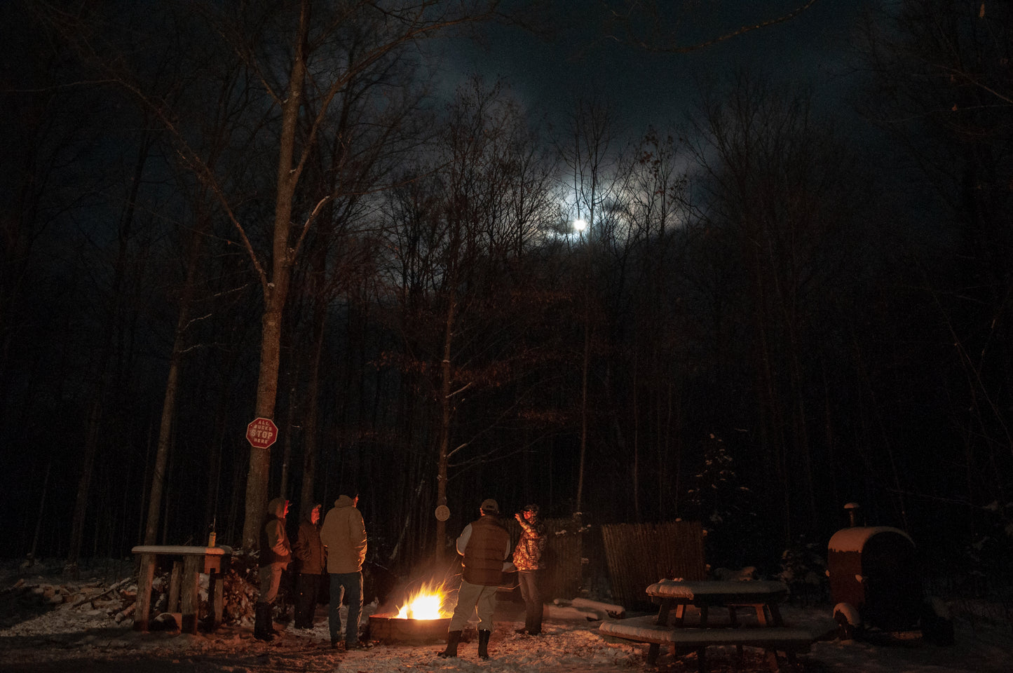 The Forest Film